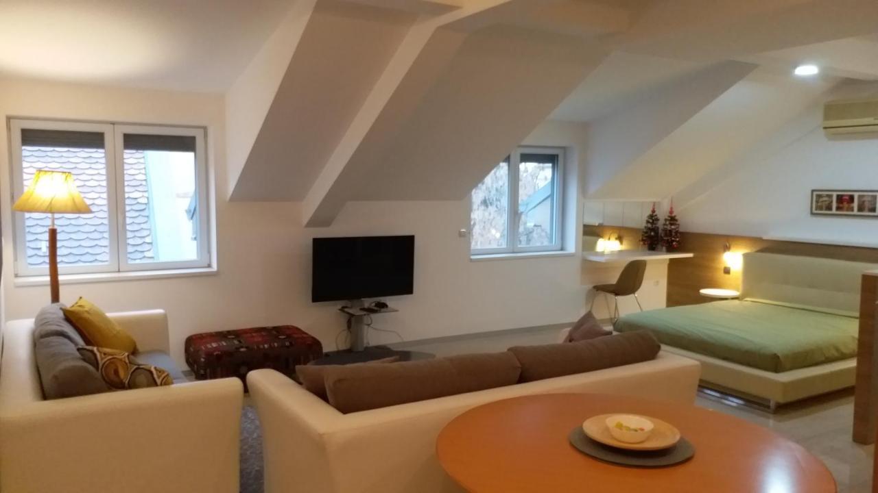 Centar Lux Vrsac 아파트 외부 사진
